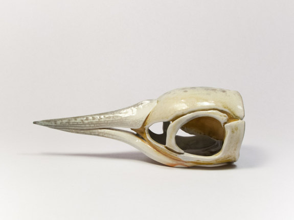 Ceramic Showcase 2016 Amy Fields Bird Skull