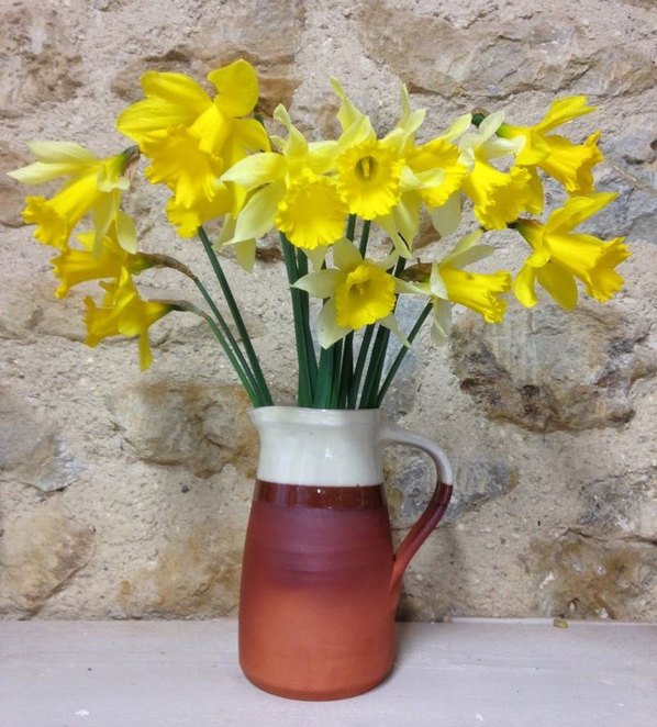 Paul Jessop Jug with Daffs